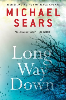 Long Way Down by Michael Sears