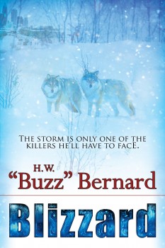 Blizzard by H. W. Bernard