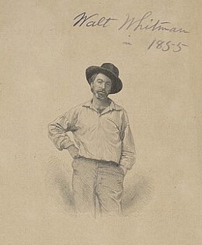 An 1855 image of Walt Whitman from Leaves of Grass. Courtesy Library of Congress.