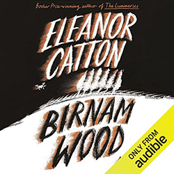 AudioBook Image: Birnam Wood