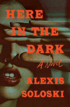 Book Cover Image: Here in the Dark