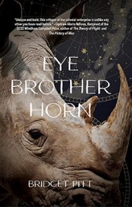 Book Cover: EYE BROTHER HORN 