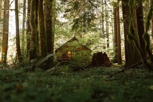 Forest home, Oregon